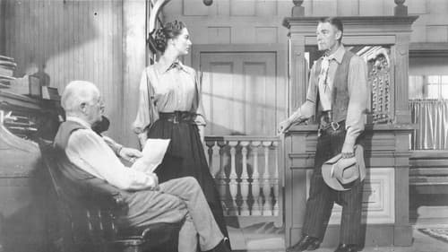 Der schweigsame Fremde Bild 4