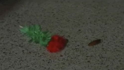 The 9th Circle Bild 7