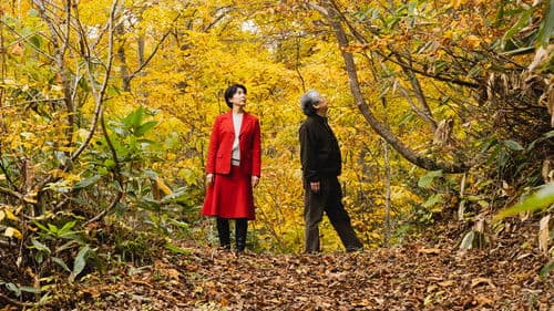 Das Zen-Tagebuch Bild 5