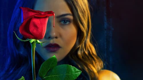 Tell Me a Story Bild 7