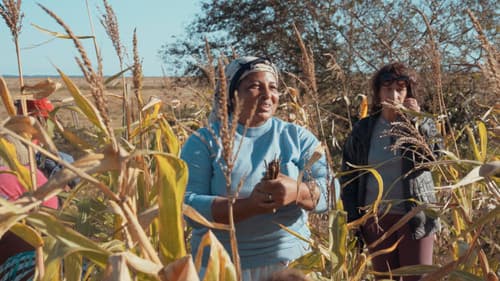 Campo Grande é o Céu Bild 4