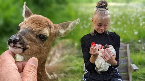 Rakkaudesta villieläimiin Bild 2