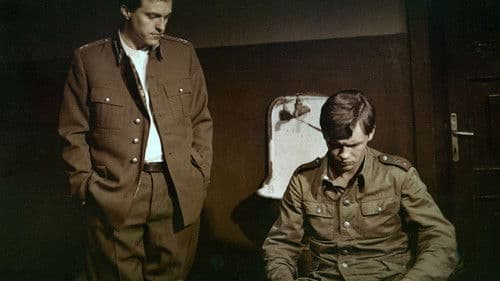 Wierne blizny Bild 2