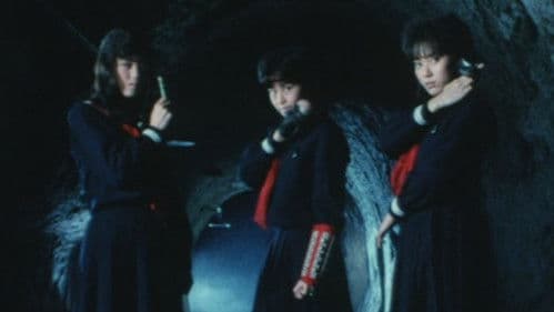 スケバン刑事III 少女忍法帖伝奇: 三姉妹 最も危険な旅 八つの死の罠 Bild 1