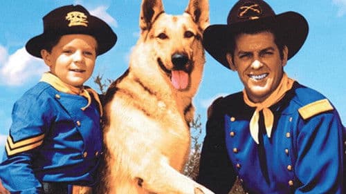 Rin Tin Tin Bild 2