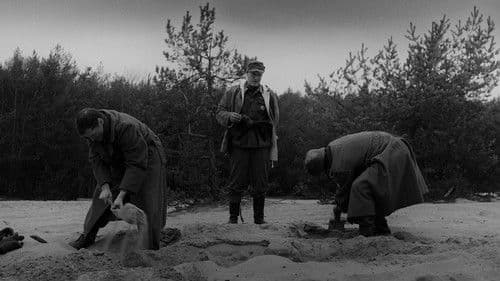 Wie All Die Anderen Bild 1