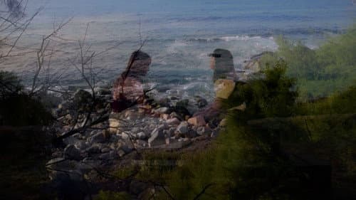 Bajo la bruma Bild 6