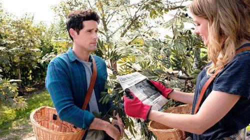 Love Under the Olive Tree Bild 5