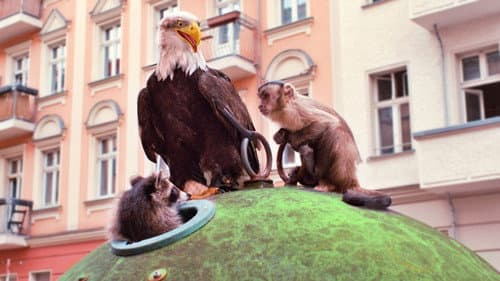 Akiko - Der fliegende Affe Bild 3