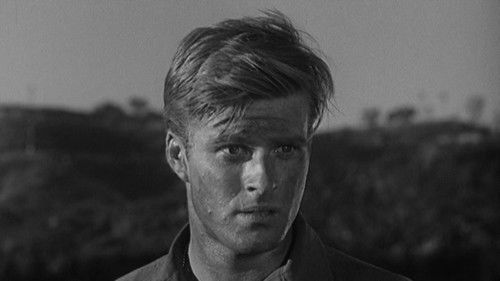 Hinter feindlichen Linien Bild 5