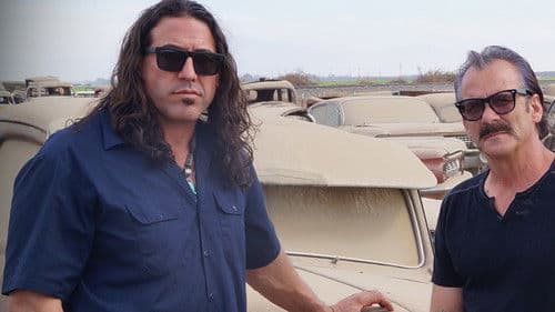 Die Auto-Messies Bild 2