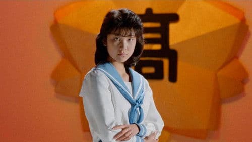 びんばりハイスクール Bild 1