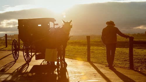 Die Liebe wird dich finden in Charm Bild 7