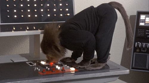 Duncan Jack und Mister Boon Bild 5