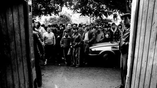 Shooting the Mafia Bild 8