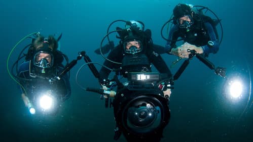 Descending: Abenteuer Tauchen Bild 1