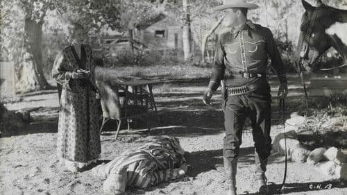 Cowboy Holiday Bild 1