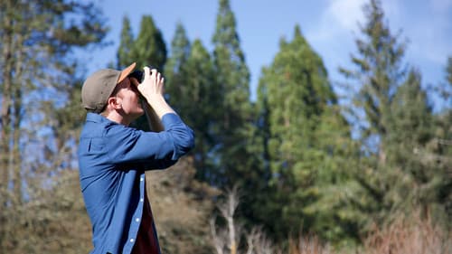 Weird But True! Bild 3