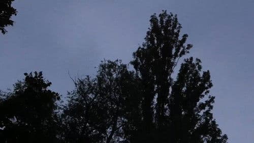 Newton's cradle Bild 1