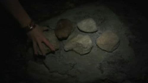 Under the Ravens Wing Bild 1