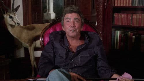 Highway Cowboy Bild 2