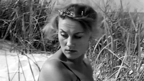 Der letzte Sommertag Bild 4