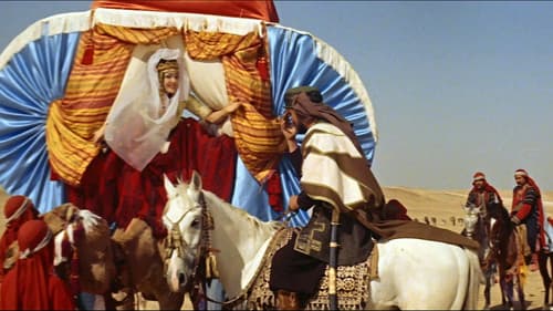 Der Sohn des Scheichs Bild 5