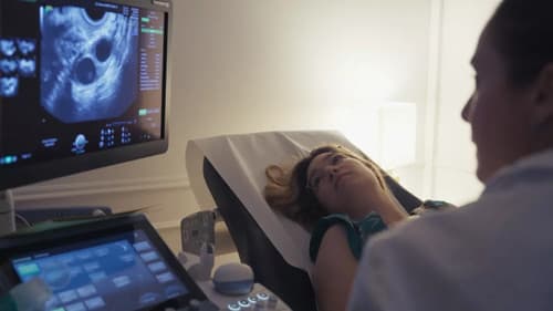 Nos oeufs au congélo, le temps de la réflexion ? Bild 1