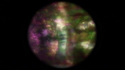 The Forgotten Colours of Dreams Bild 1