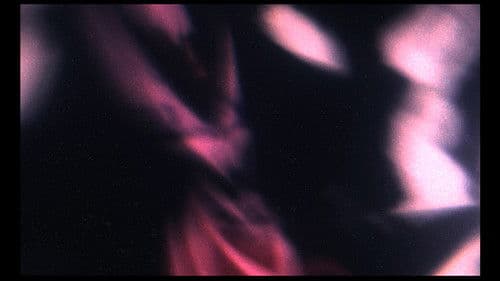 Madhouse Mitchel Bild 1