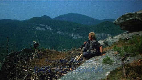 Die Brut des Adlers Bild 2