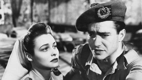 Gezählte Stunden Bild 4