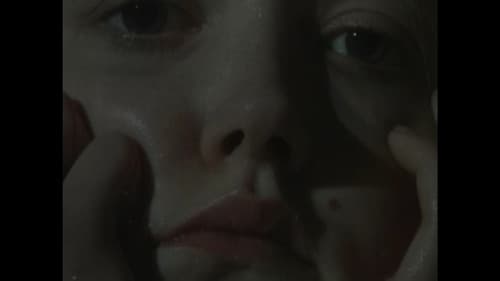 The Sun and the Moon Bild 3