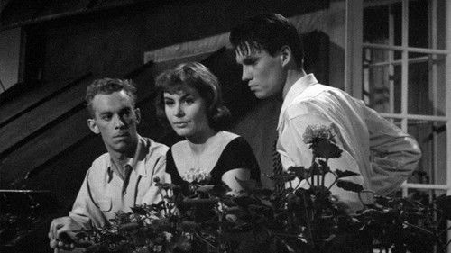 Vi tre debutera Bild 3