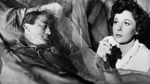 Schnee am Kilimandscharo Bild 6