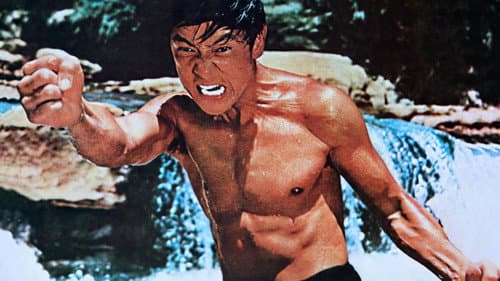Wang Yu - Stärker als tausend Kamikaze Bild 1
