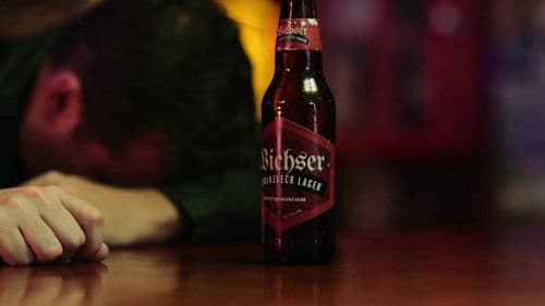 The Jerry Show Bild 1