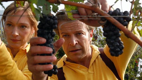 Liebe auf den dritten Blick Bild 1