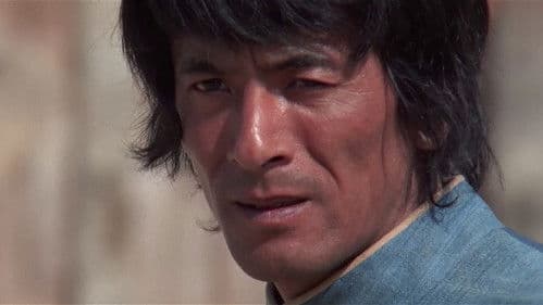 Der Mann mit der Kugelpeitsche Bild 5