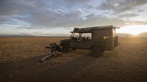 Unter Geparden Bild 4