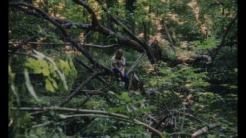 Passenger Jet Bild 4