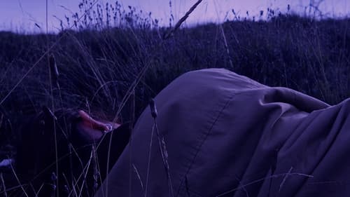 Fantaisie Pour Une Autre Fois Bild 1