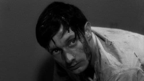 Ein zum Tode Verurteilter ist entflohen Bild 8