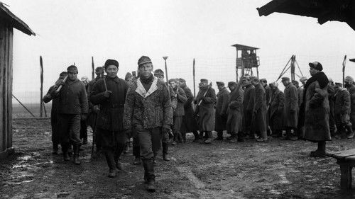 Der Arzt von Stalingrad Bild 6