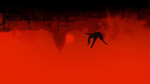 The Night Eats the World Bild 2