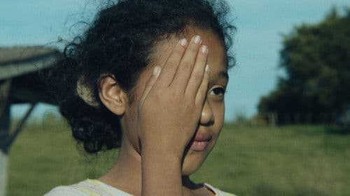 Dança dos Vagalumes Bild 3