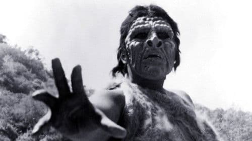 Harry und der Zauberring Bild 5