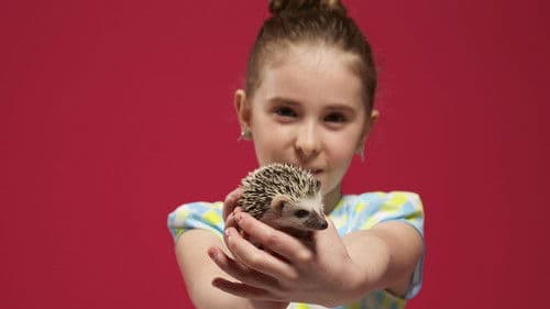 Fous des animaux Bild 1