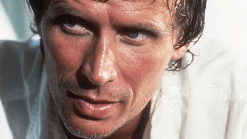 Hexenkessel Miami Bild 5