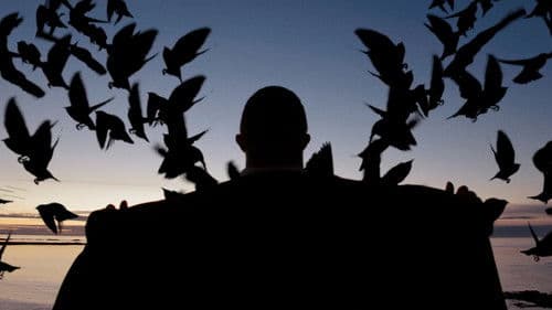 The Secret Life of Tom Lightfoot Bild 3